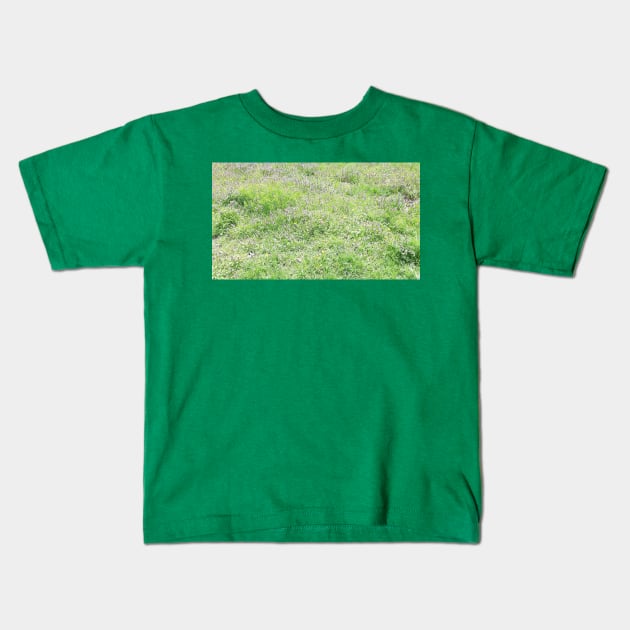 Spring grass, meadow, green nature photo Kids T-Shirt by grafinya